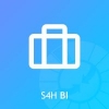 S4H BI