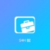 S4H Business Intelligence